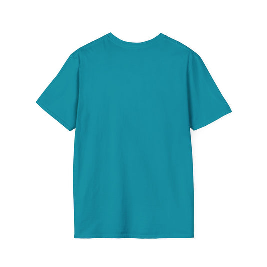 Ozark Airlines Logo T-Shirt | Retro Airline Graphic, Teal Crew Shirt