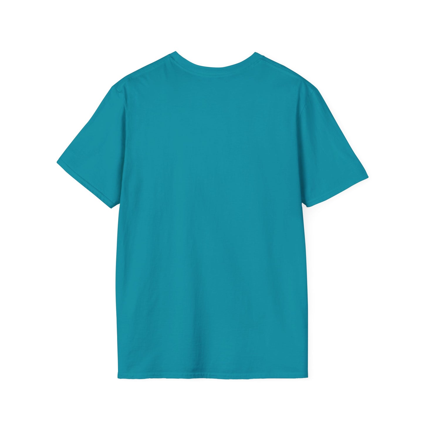 Ozark Airlines Logo T-Shirt | Retro Airline Graphic, Teal Crew Shirt